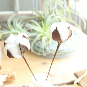 KEWEI 679 Hot Selling Artificial Dried <strong>Cotton</strong> Shell Flower Natural Dried <strong>Cotton</strong> Flower For Home Decoration - Product Image 6
