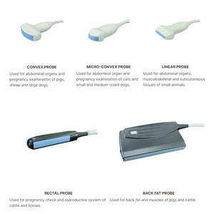 Máy siêu âm động vật sóng xung cho thai kỳ máy siêu âm xách tay chẩn đoán hỗ trợ thiết bị sinh sản - Product Image 6