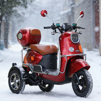 Tricycle à essence rose et blanc tendance pour le transport transfrontalier, idéal pour les trajets quotidiens des femmes, tricycle résidentiel, moto