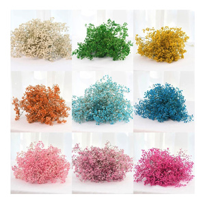 Vente flash - Bouquet de fleurs Gestasus préservées, personnalisable en couleur, très populaire et décoratif - Product Image 4