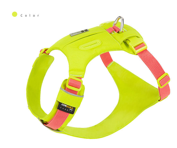 สีเหลือง