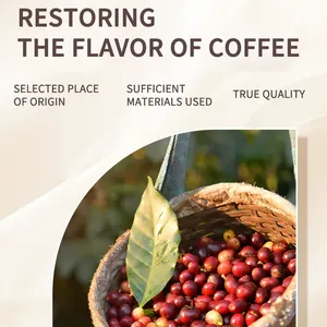 Caffè naturale nutriente di <span class=keywords><strong>buon</strong></span> gusto all'ingrosso organico puro Instant Blend caffè basso MOQ in polvere BURTON funghi caffè - Product Image 2
