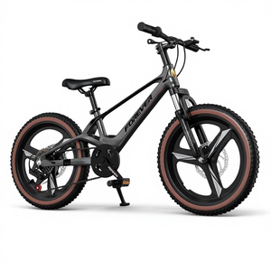<span class=keywords><strong>Vélo</strong></span> Forever pour hommes et femmes, 6-12 ans, <span class=keywords><strong>vélo</strong></span> de montagne en alliage de magnésium <span class=keywords><strong>ultra</strong></span>-<span class=keywords><strong>léger</strong></span>, freins à disque doubles, capacité de charge de 100 kg - Product Image 1