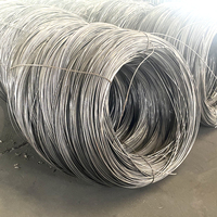 Fil de fer recuit noir de 0,8 mm, 1,0 mm, 1,25 mm, 1,3 mm, 1,6 mm, 2,0 mm, 2,5 mm, fil de fer souple pour ligature