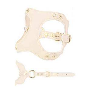 Arnés de cuero premium transpirable con malla en la espalda para perros, acolchado, para paseos de verano y aventuras al aire libre. - Product Image 1