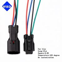Conectores de Cableado Eléctrico Personalizados, Conector de Cableado Automotriz 1P/2P/3P/4P/6P/8P/12P/14P/16P con Cables
