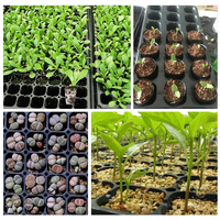 Machine à semis semi-automatique pour plateaux alvéolés, machine à semer des semis de poivrons, équipement de semis sous pression pour plateaux alvéolés de légumes