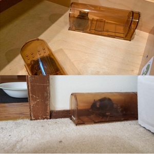 Humane Smart <b>Mouse</b> Trap No Kill Live Catch with Air Holes - Product Image 6