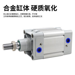 Cylindre tampon pneumatique standard DNC 80-25-50-75-100-200-300-500-PPV-A Nouveau cylindre à piston, noyau de piston, moteur à piston, roulement - Product Image 4