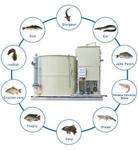 Équipement d'aquaculture de système de QihangRAS Ras pour la pisciculture d'intérieur système d'aquaculture d'équipement de pisciculture de recyclage d'intérieur - Product Image 5