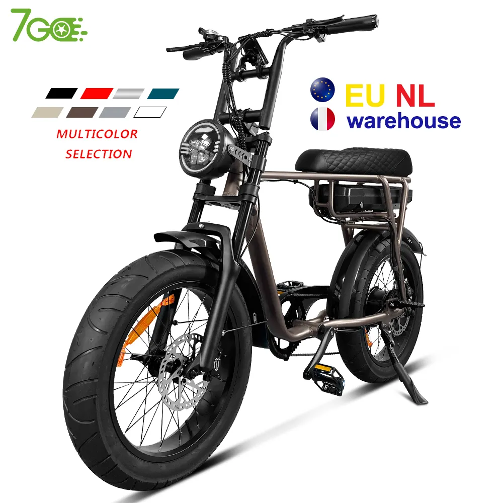7Go EB2 EB4 Eu warehouse 250W 500W 750W 1000w 20 inch retro hybrid adults mountain fat tire dirt ebike electric bike