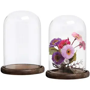 Clear Cloche Bell Glass Dome Decorative Tabletop Cloche Jar Case With Rustic Dark Brown Wood Base