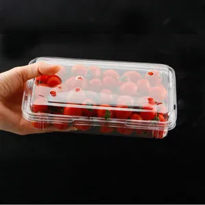 Best price Disposable supermarket fruit and vegetable tray fruit packaging tray strawberry blueberry box