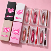 Kit de gloss et crayon à lèvres 2-en-1 hydratant végétalien, longue tenue, sans transfert, pour marque privée