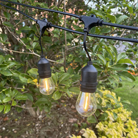 Douilles suspendues guirlandes lumineuses Festoon S14 ampoules blanc chaud IP65 étanche guirlandes décoratives lumières intérieures et extérieures