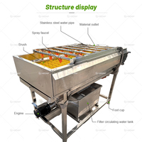Machine industrielle de lavage et de cirage des fruits et légumes pour mangue, figue de Barbarie, cactus, noix de coco - Entretien réduit, garantie 1 an