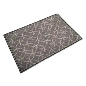 Dongwo indoor and outdoor doormat entrance passage carpet room floor mat TPR bottom non-slip can be customized