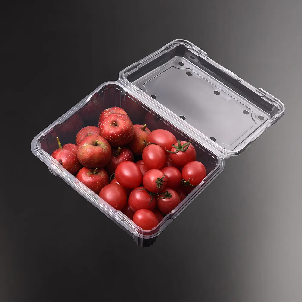 Conteneur de stockage jetable en plastique PET, PET, 500 pièces, boîte d'emballage de fruits, Blister à clapet transparent, raisin, raspberry et tomate