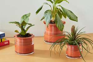 Kit de jardinière de <span class=keywords><strong>Pot</strong></span> humide auto-arrosant de ferme décors d'intérieur extérieurs uniques pour l'utilisation de <span class=keywords><strong>Pot</strong></span> de fleur suspendu de plancher de jardin de pépinière - Product Image 6