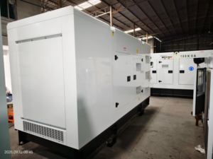 Generatore Diesel Brushless Stamford 1706A-E93TAG1 357KVA 250KW 50Hz ATS Insonorizzato 400/230V Trifase 4 Fili Raffreddato ad Acqua - Product Image 5