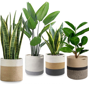 Vente en gros discount produit personnalisé <span class=keywords><strong>plante</strong></span> <span class=keywords><strong>panier</strong></span> tissé décor à la maison tissé <span class=keywords><strong>plante</strong></span> <span class=keywords><strong>panier</strong></span> coton corde <span class=keywords><strong>panier</strong></span> avec poignées - Product Image 2