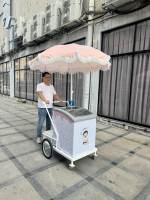 Chariot de congélation mobile pour la vente de glaces et de sucettes glacées, à usage commercial, avec un design multifonctionnel à 4 roues
