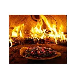 Grill à poissons/bois/charbon de bois, cuisine, jardin, grill à pizza, four d'extérieur