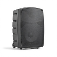 Enceinte portable DJ PA, 80W RMS, woofer ferrite 10 pouces, tweeter titane avec microphones sans fil pour achats en gros