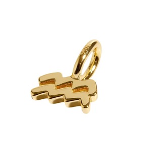 Alla moda 18K oro placcato in acciaio inox fai da te collana nuova dodici zodiaco e costellazioni ciondoli di moda per bambini e donne gioiello - Product Image 5