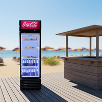 Réfrigérateur Vitrine Verticale à Porte Vitrée à Température Unique avec Refroidissement par Ventilateur, Présentoir Commercial et Domestique pour Cola, avec Éclairage LED
