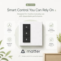 Interrupteur intelligent Matter à écran tactile, contrôle central, produits pour la maison intelligente, automatisation domestique, panneau de commande pour la maison intelligente, pour bureau, hôtel
