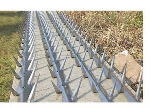 Pointes de clôture et de mur - Product Image 3