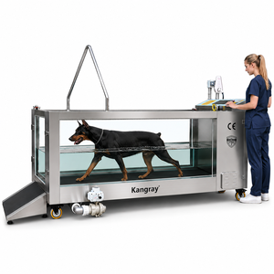 Caminadora Subacuática Eléctrica Veterinaria para Perros, Precio de Caminadora Subacuática Portátil para Hidroterapia de Mascotas - Product Image 3