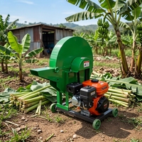 Nouvelle Arrivée - Broyeur de Bananiers 300-1000kg/h, Concasseur de Tiges de Plantains avec Roues Amovibles pour Ferme