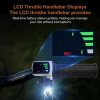 Kit de Controlador Antirrobo para Bicicleta Eléctrica de 15A con Encendido por Llave, Pantalla LCD Integrada, Acelerador Giratorio, 24V/36V/48V, Controlador de Motor de 250W
