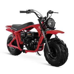 รถมอเตอร์ไซค์ Tao Motor รุ่นใหม่ปี 2023 สำหรับเด็ก รถวิบากขนาดเล็ก 200 ซีซี - Product Image 4