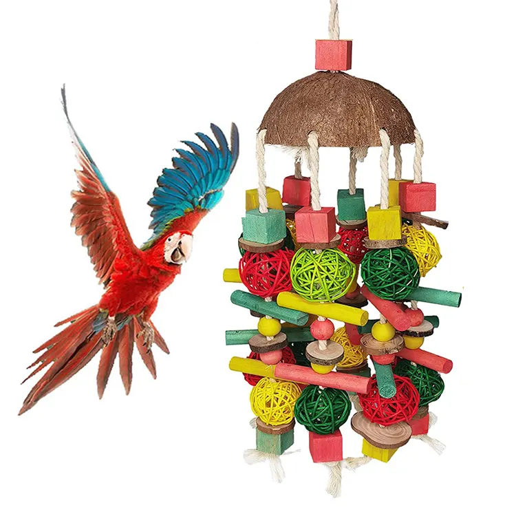 Papegaaien Huisdier Kauwen Speelgoed Kokosnoot Kleurrijke Hangende Grote Vogel Benodigdheden Vogel Ara Afrikaanse Grijze Papegaai Afwerpen Speelgoed