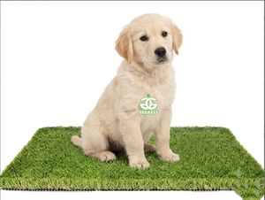 Tappeto in Erba Sintetica Premium Ecologico per Cani con Foro di Drenaggio, Resistente, per Area Giochi e Decorazione Giardino - Product Image 1
