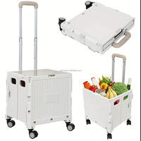 Chariot de supermarché pliable en plastique à quatre roues pour légumes, grand espace, mini-chariot pliable pour le camping (OEM)
