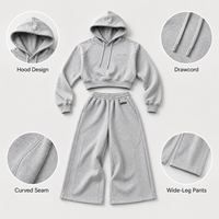 Conjunto de Dos Piezas ODM para Mujer, Sudadera Corta con Mangas Raglán Grises, Pantalones Deportivos Holgados con Cordón y Pierna Ancha, Estilo Urbano