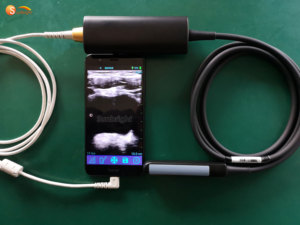 Rectal <strong>Linear</strong> <strong>Probe</strong> for Cow Horse Small Embryo Veterinary Ultrasound Scanner Good <strong>Price</strong> - Product Image 2