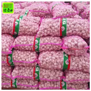 Nhà Máy Giá Rau Tươi Trong 20Kg Lưới Túi 2023 Mới Nhất Crop Bawang Putih Nhà Cung Cấp Ban Đầu Đầy Đủ Khô Tỏi Cho Bán Buôn