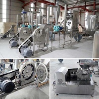 Kruidenrijstschil Gember Kurkuma Fruitkorrel Malen Maalpoeder Proces Maken Crusher Vergruizer Machine