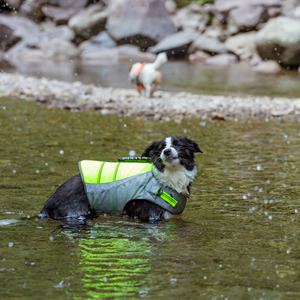 ट्रूलोवे लक्जरी डिजाइनर चिंपिल्ला कुत्ते जीवन जैकेट वाटरप्रूफ फैशन लुभावनी प्रशिक्षण कपड़े कोट पारदर्शी शैली - Product Image 1