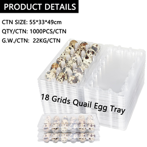 Plateau <span class=keywords><strong>de</strong></span> 18 Alvéoles en Plastique Blister <span class=keywords><strong>pour</strong></span> Œufs <span class=keywords><strong>de</strong></span> Caille – Emballage <span class=keywords><strong>pour</strong></span> Œufs <span class=keywords><strong>de</strong></span> Caille <span class=keywords><strong>pour</strong></span> l'Agriculture - Product Image 3