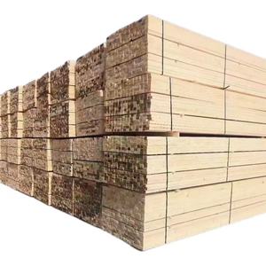 Bois de pin massif 10x10 pour la construction et les traverses de chemin de fer - Product Image 4