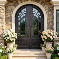 Porte d'entrée de villa en acier forgé avec panneau en verre, style français, sur mesure, revêtement poudré