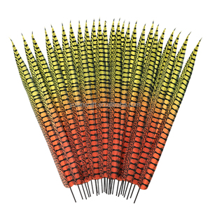Plumas de Faisán Lady Amherst Artificiales al por Mayor de 10-110 cm para Decoración de Fiestas de Carnaval y Centros de Mesa - Product Image 2