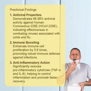 Remède Herbal Premium Contre le Froid et la Grippe, Complément Traditionnel Chinois Riche, Puissant Nettoyant Pulmonaire pour la Saison Hivernale - Product Image 2