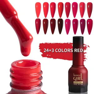 Honeygirl Custom Unique New Year red 24 colors Gel Collection set box OEM nail gel supplies design high polish Salon Art Soak